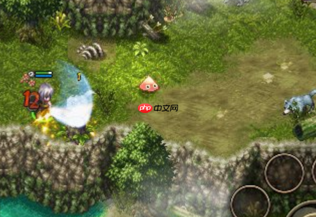 艾诺迪亚4怎么卡背包_艾诺迪亚4背包格子卡bug教程